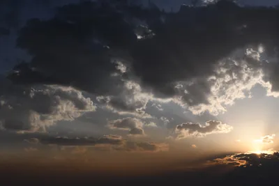 DSC_3702 (Large).JPG